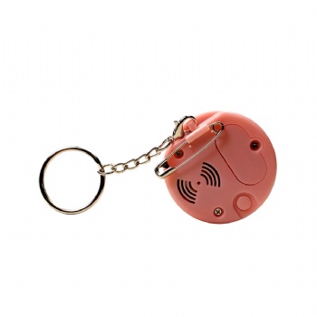 Fun musical keychain