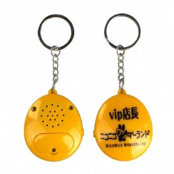 Fun musical keychain