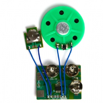 Custom Voice Sound module for toys