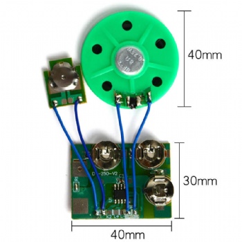 Custom Voice Sound module for toys