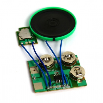 Custom Voice Sound module for toys