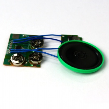 Custom Voice Sound module for toys