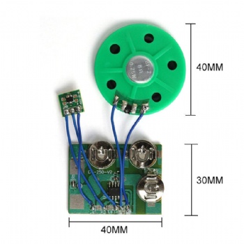 Magnetic Switch Sound Chip