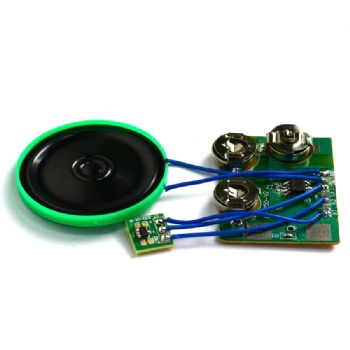 Magnetic Switch Sound Chip