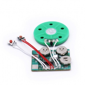 Recordable Sound Module for Toys or Gift Cards